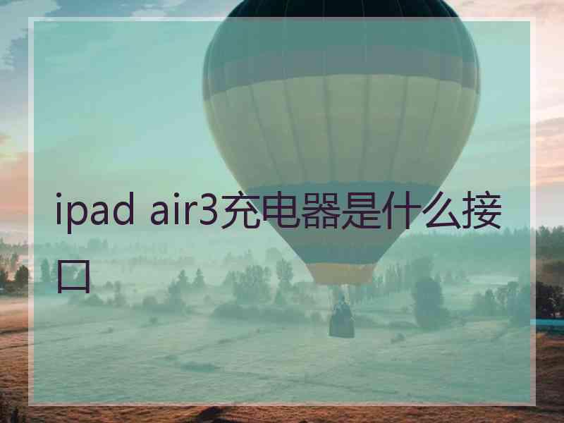 ipad air3充电器是什么接口