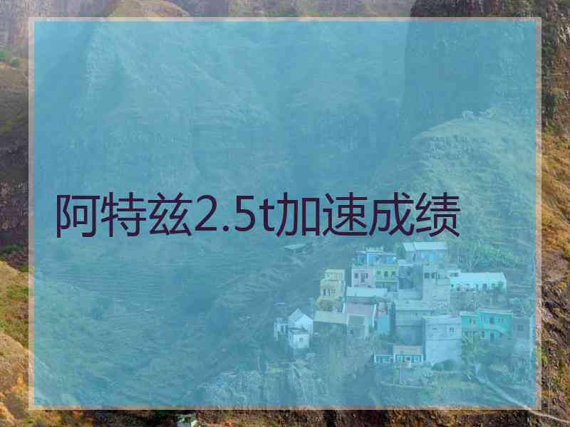 阿特兹2.5t加速成绩