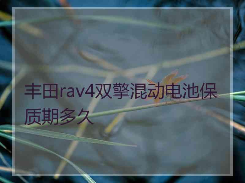 丰田rav4双擎混动电池保质期多久