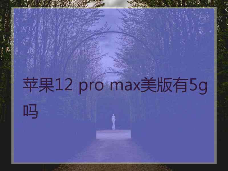 苹果12 pro max美版有5g吗