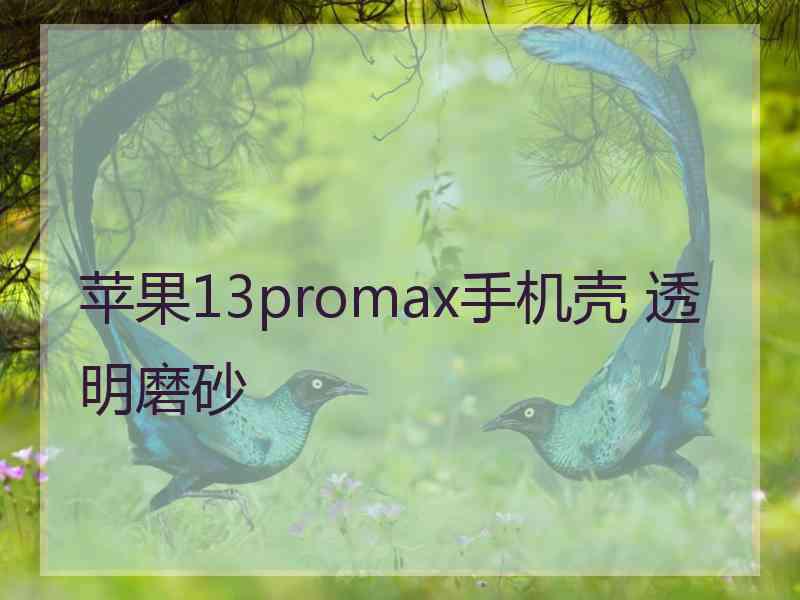 苹果13promax手机壳 透明磨砂