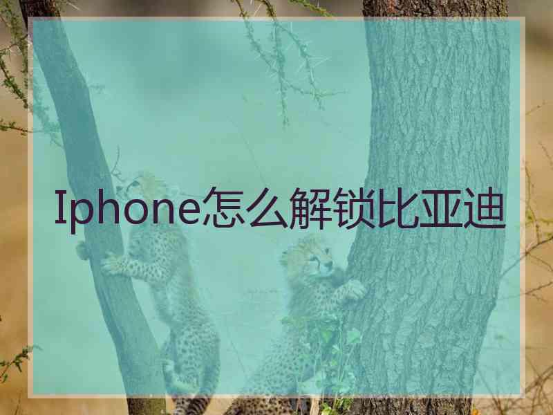 Iphone怎么解锁比亚迪