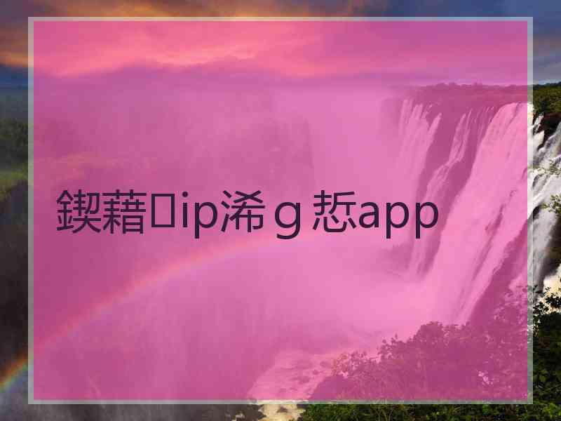 鍥藉ip浠ｇ悊app