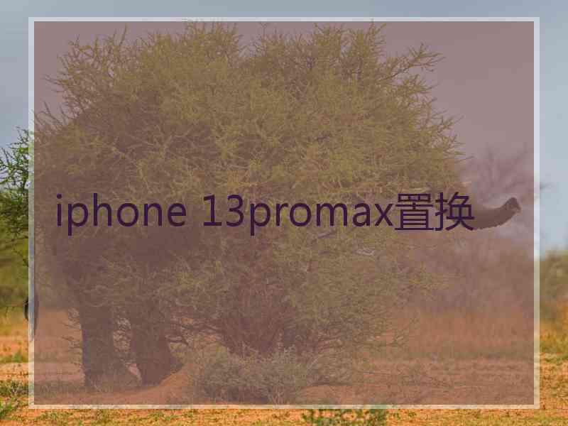 iphone 13promax置换