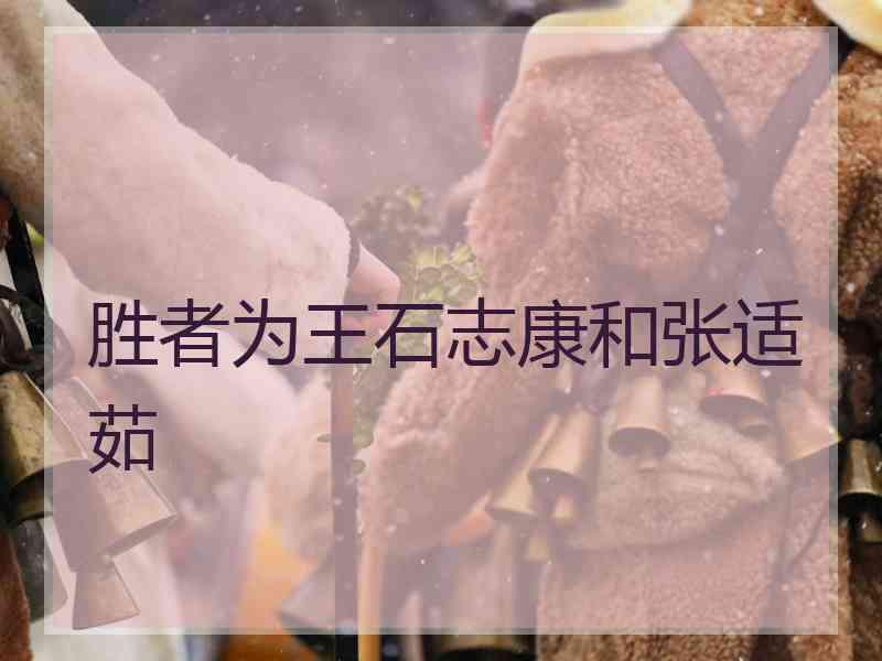 胜者为王石志康和张适茹