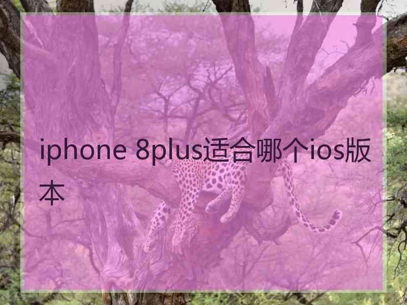 iphone 8plus适合哪个ios版本