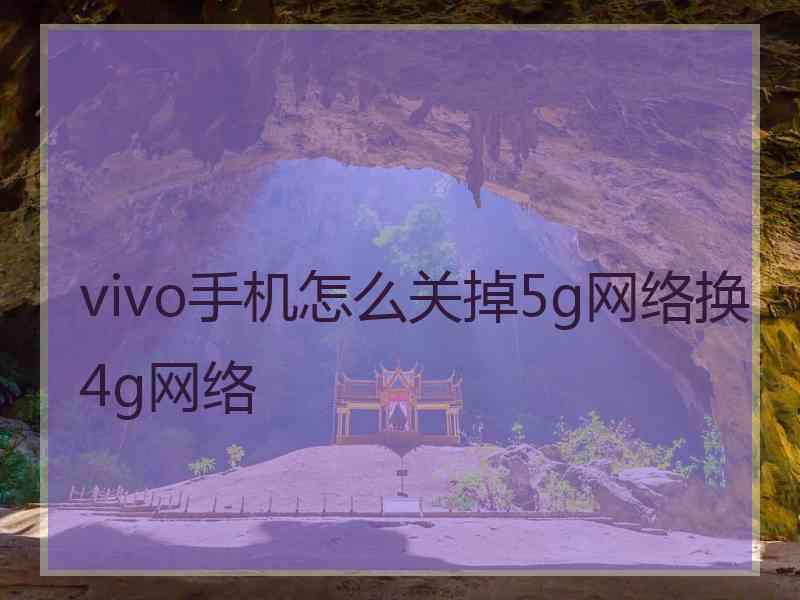 vivo手机怎么关掉5g网络换4g网络