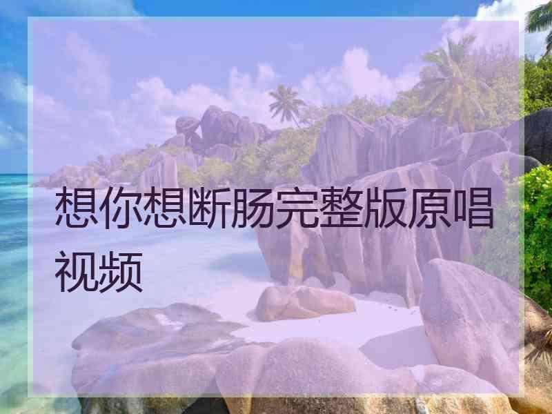 想你想断肠完整版原唱视频