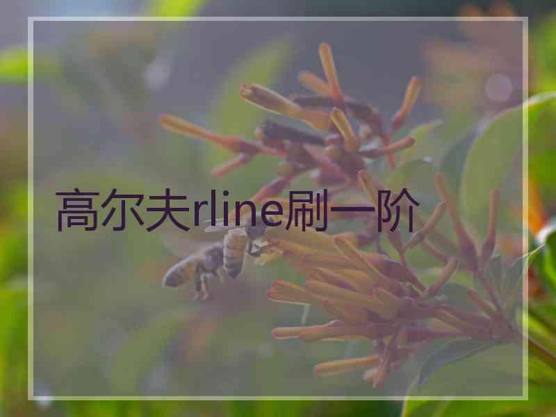 高尔夫rline刷一阶