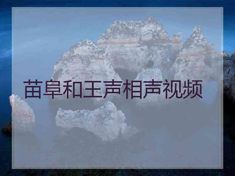 苗阜和王声相声视频