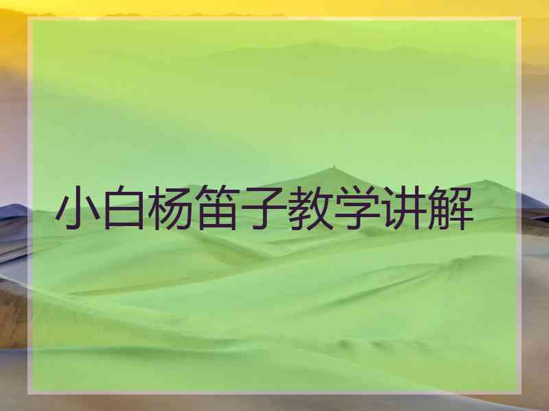 小白杨笛子教学讲解