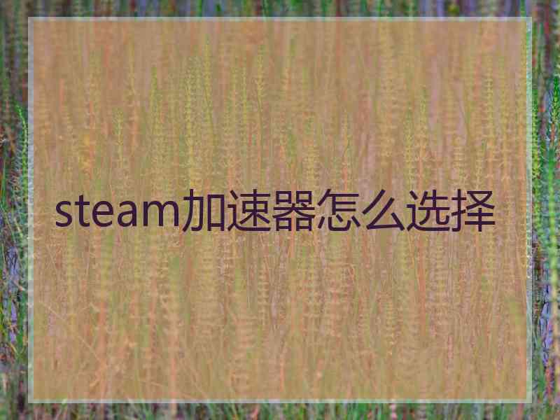 steam加速器怎么选择