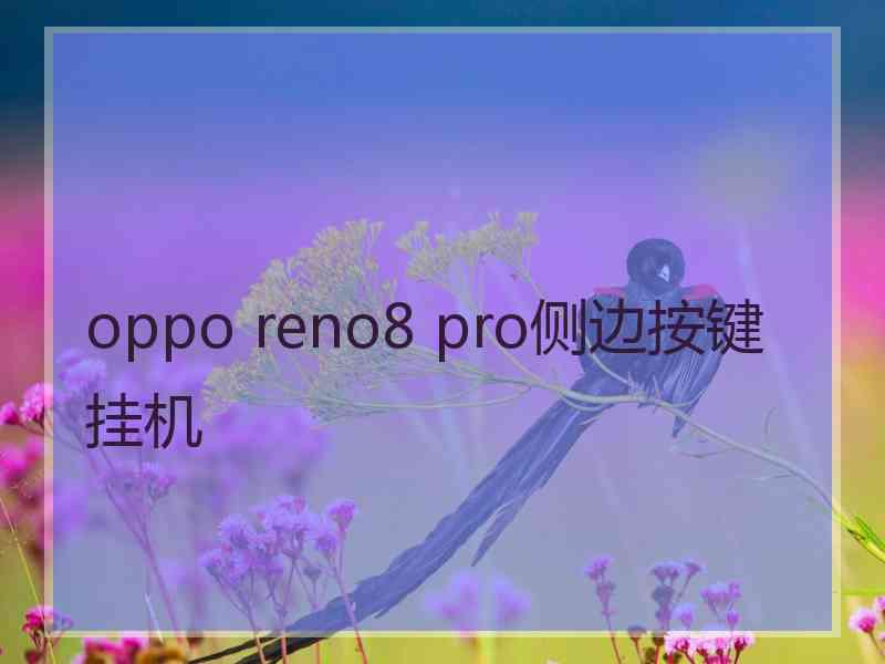 oppo reno8 pro侧边按键挂机