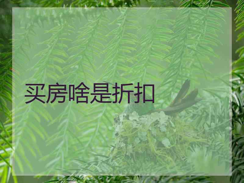 买房啥是折扣