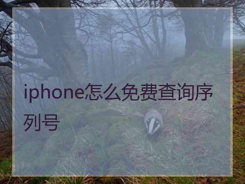 iphone怎么免费查询序列号