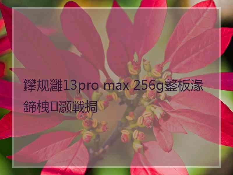 鑻规灉13pro max 256g鐜板湪鍗栧灏戦挶