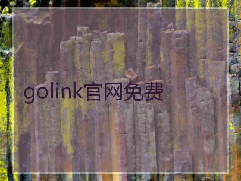 golink官网免费