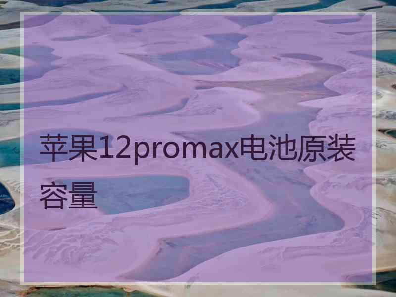 苹果12promax电池原装容量