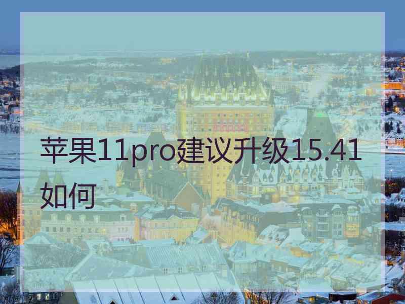 苹果11pro建议升级15.41如何