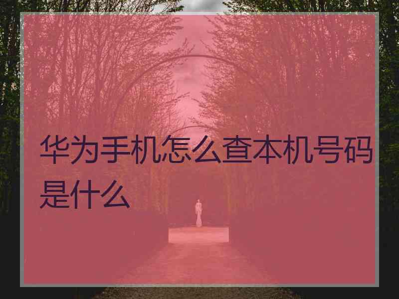 华为手机怎么查本机号码是什么