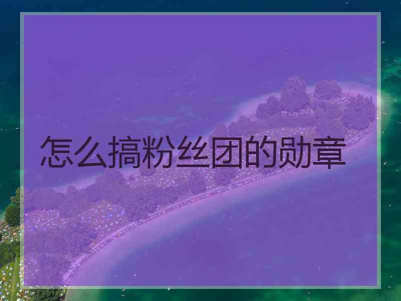 怎么搞粉丝团的勋章