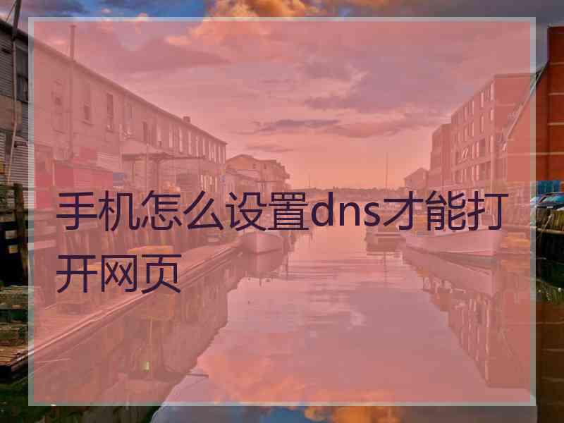 手机怎么设置dns才能打开网页