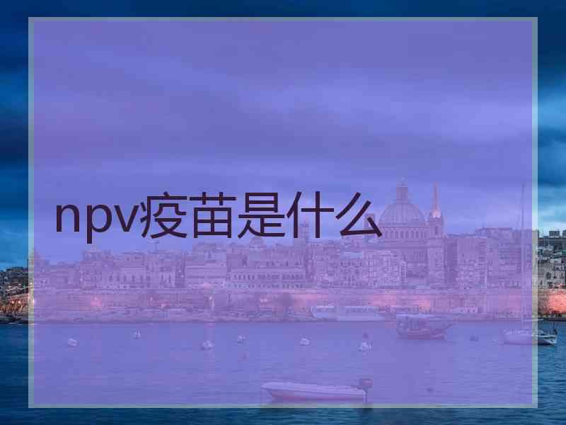 npv疫苗是什么