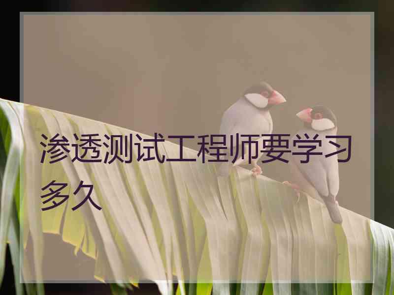 渗透测试工程师要学习多久