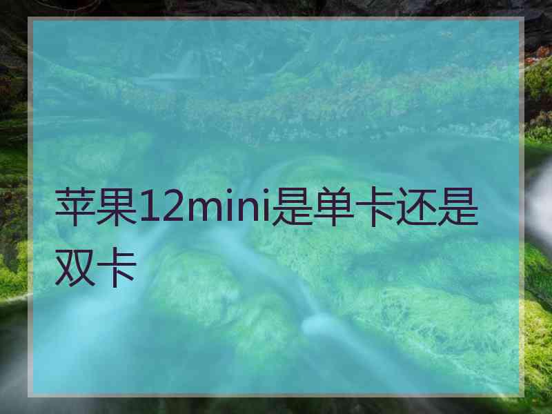 苹果12mini是单卡还是双卡