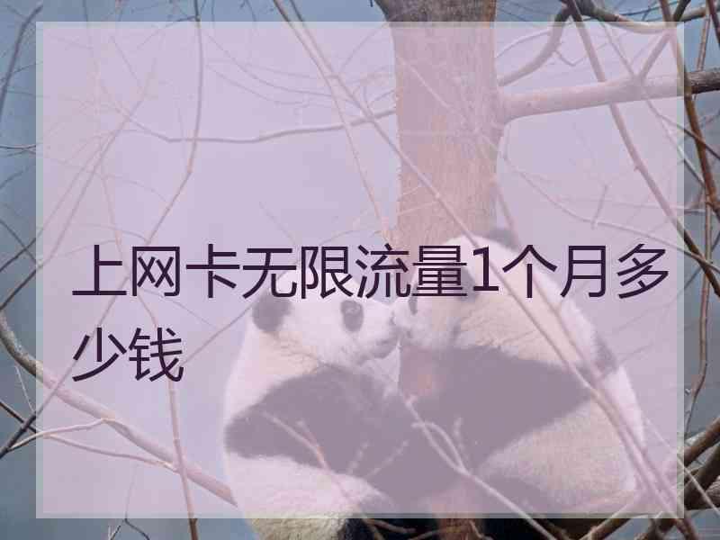 上网卡无限流量1个月多少钱