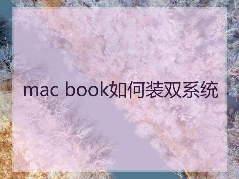 mac book如何装双系统