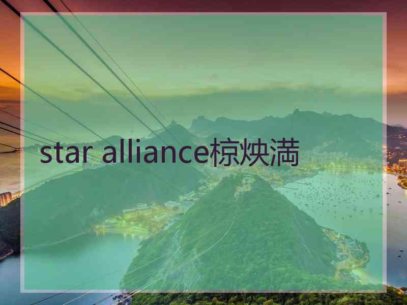 star alliance椋炴満