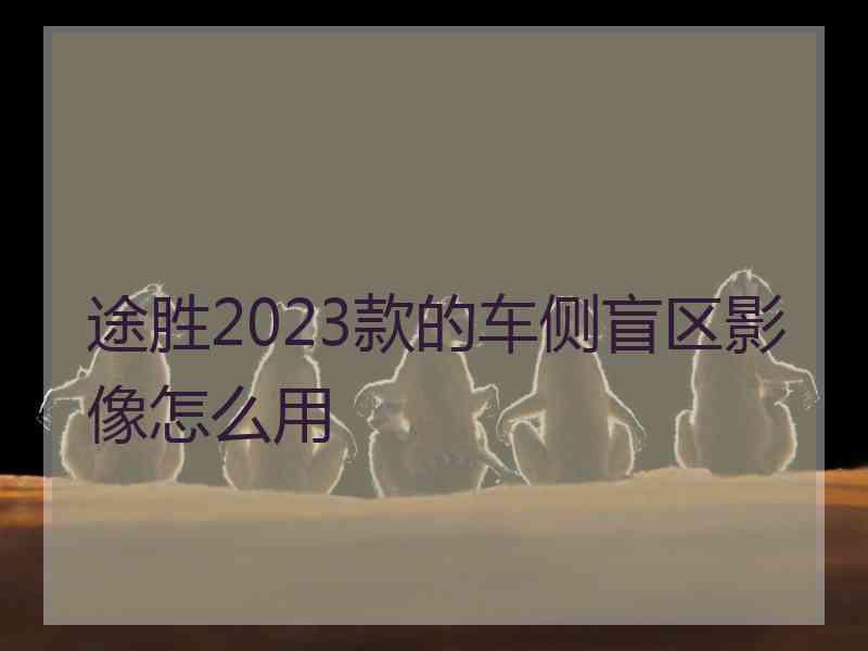 途胜2023款的车侧盲区影像怎么用