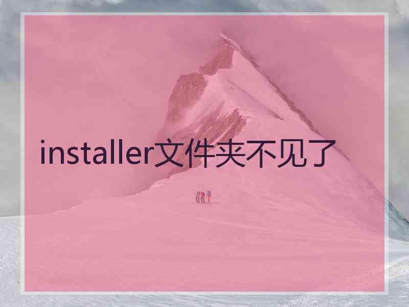 installer文件夹不见了