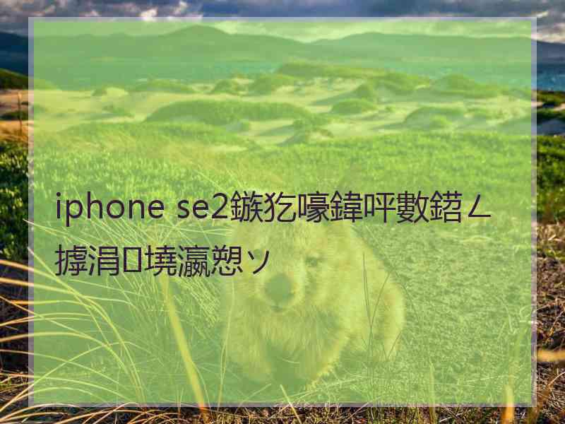 iphone se2鏃犵嚎鍏呯數鍣ㄥ摢涓墝瀛愬ソ