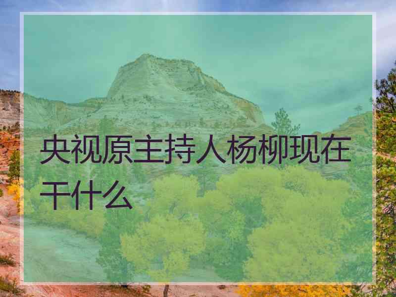 央视原主持人杨柳现在干什么