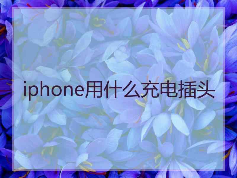 iphone用什么充电插头