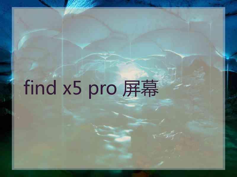 find x5 pro 屏幕