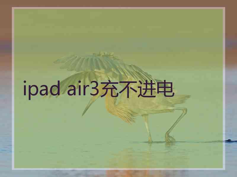 ipad air3充不进电