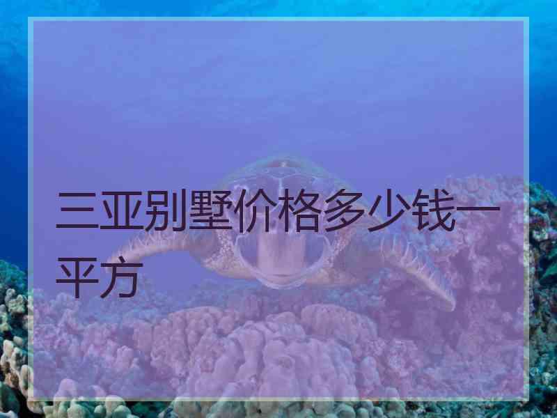 三亚别墅价格多少钱一平方