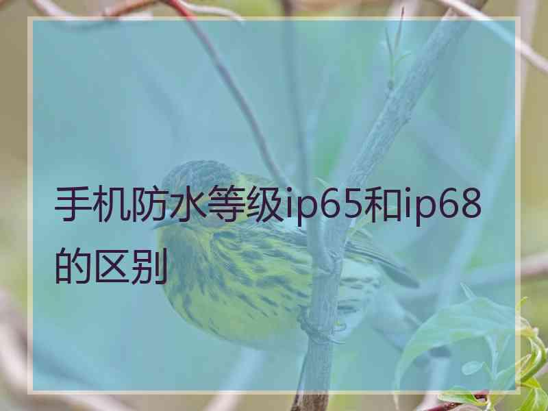 手机防水等级ip65和ip68的区别