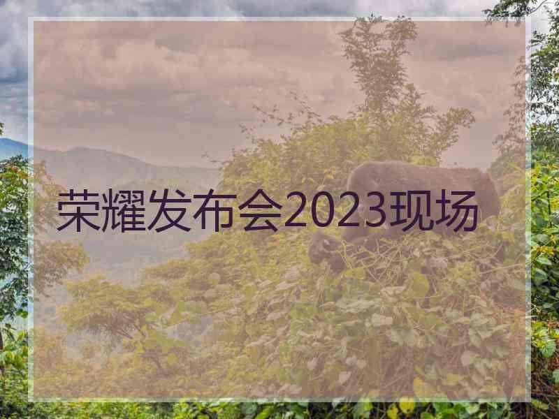 荣耀发布会2023现场