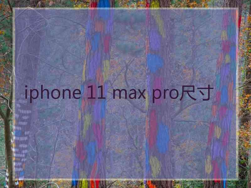 iphone 11 max pro尺寸