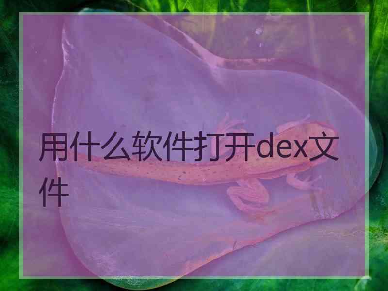 用什么软件打开dex文件