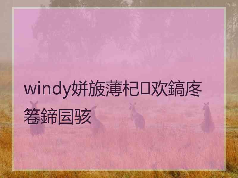 windy姘旇薄杞欢鎬庝箞鍗囩骇