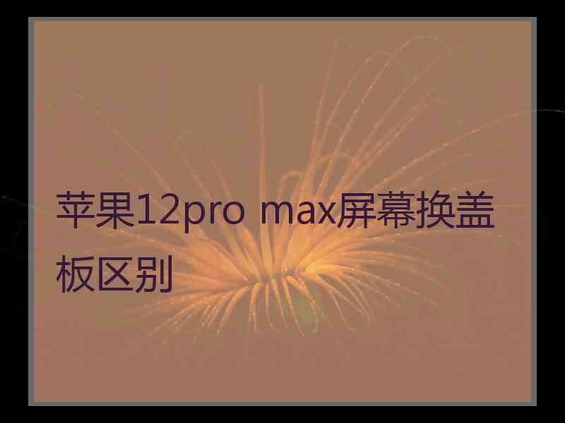 苹果12pro max屏幕换盖板区别