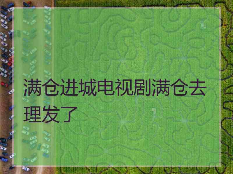 满仓进城电视剧满仓去理发了