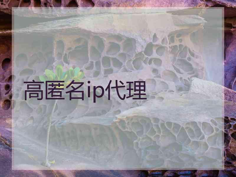 高匿名ip代理