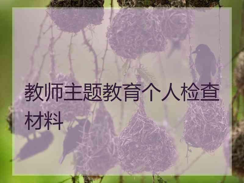 教师主题教育个人检查材料