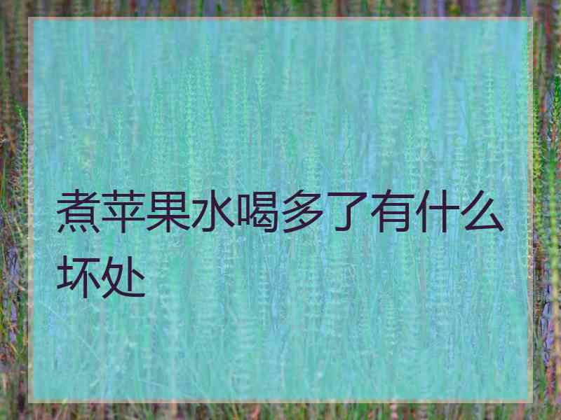 煮苹果水喝多了有什么坏处